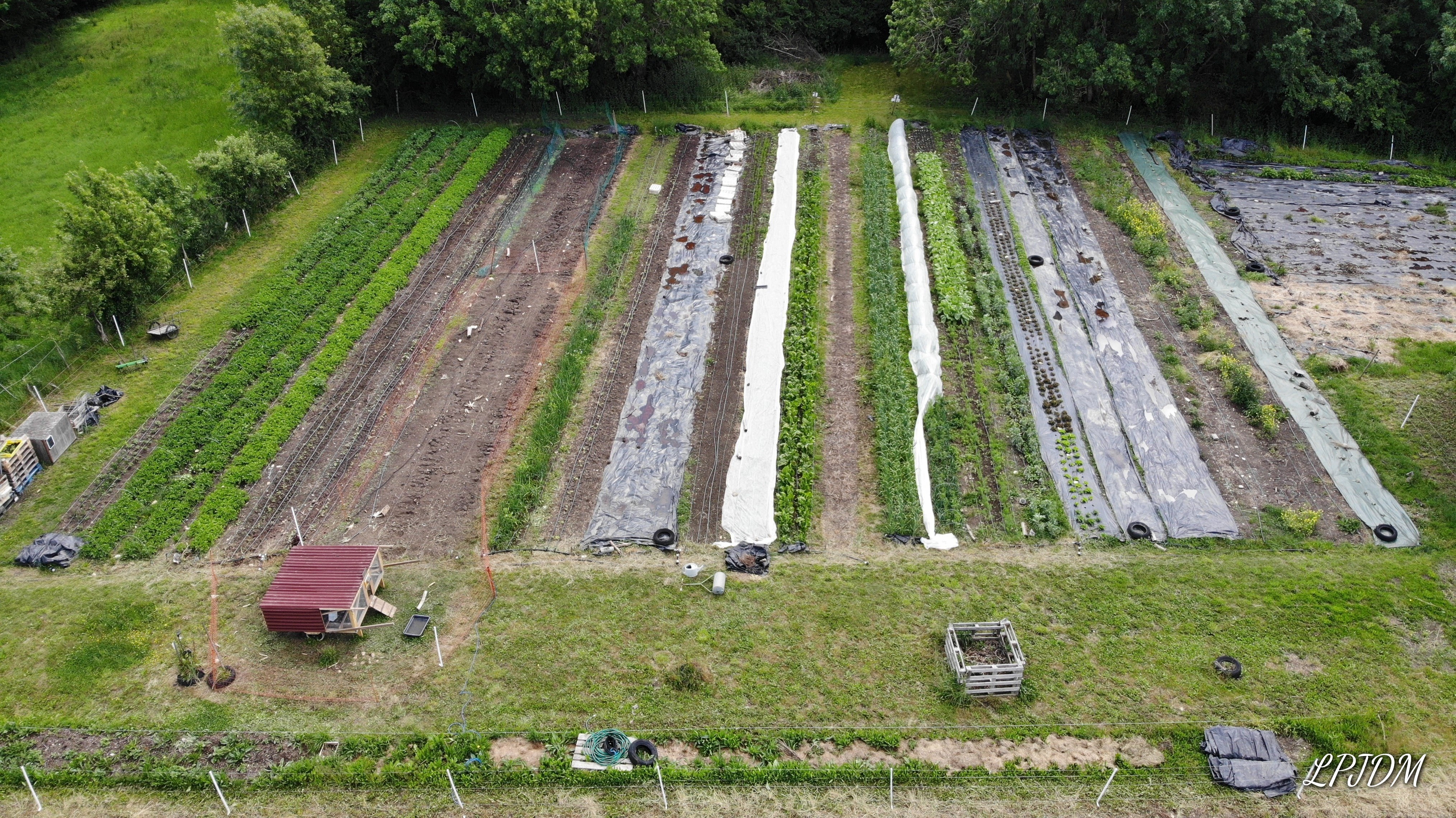 Les petits jardins du marais 