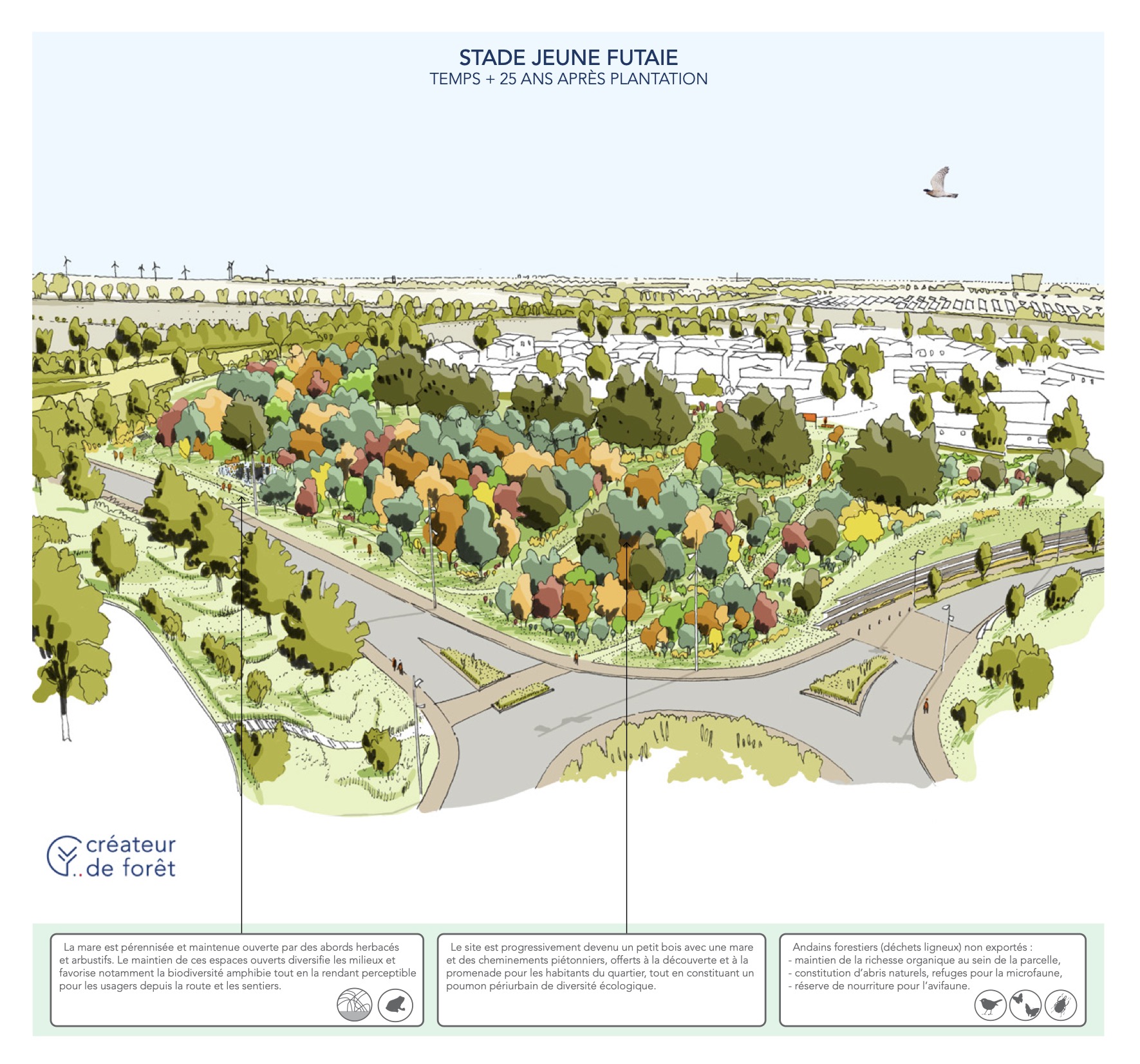 Créateur de forêt : Sensibiliser pour mieux protéger en Charente-Maritime
