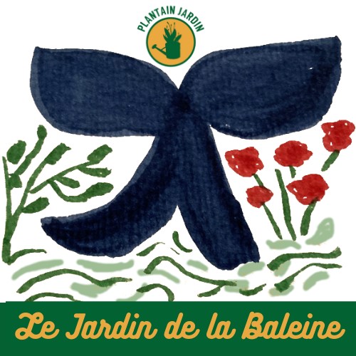 Jardin de la Baleine