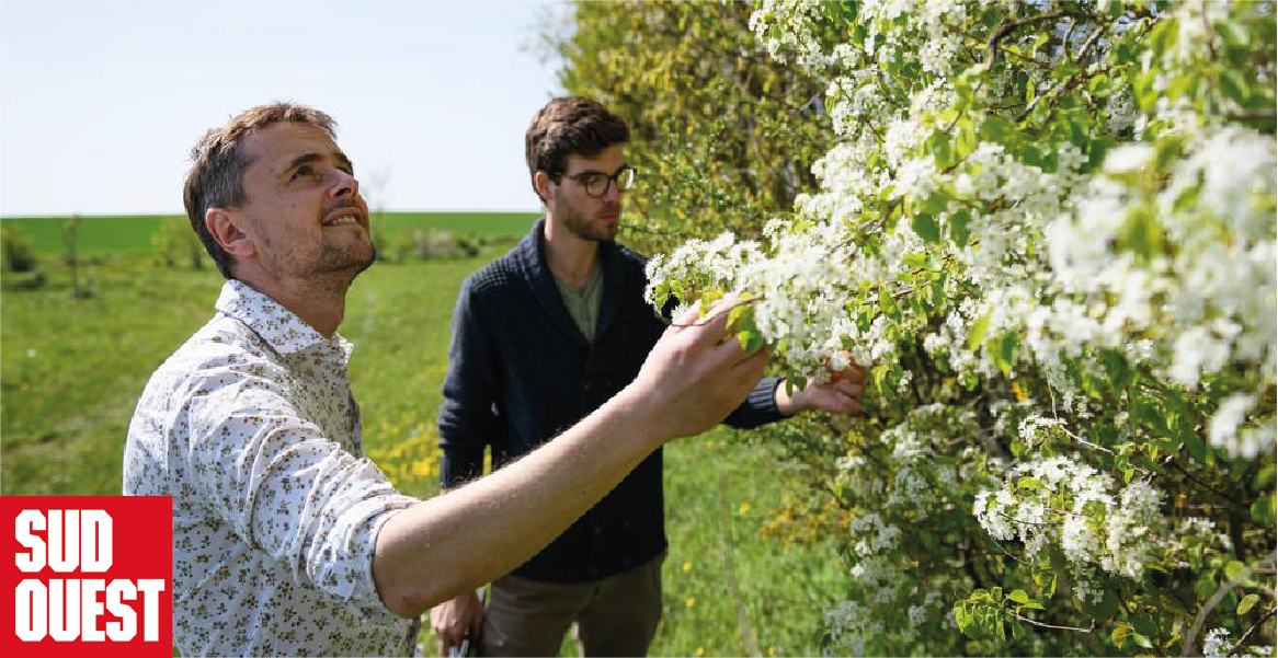 Environnement : un Charentais créer des forêts pour le futur