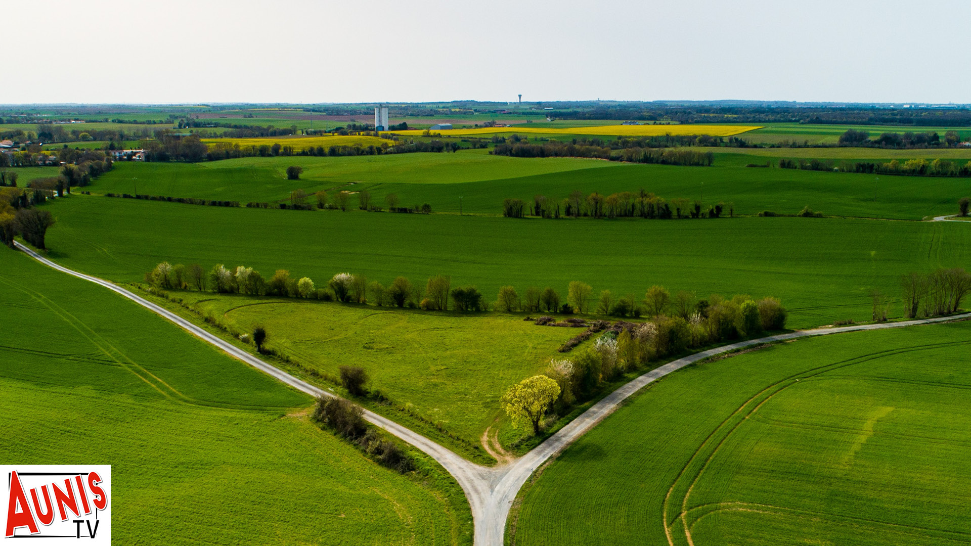 L’entreprise des Deux-Sèvres « Créateur de Fôret » va planter 800 arbres à Landrais