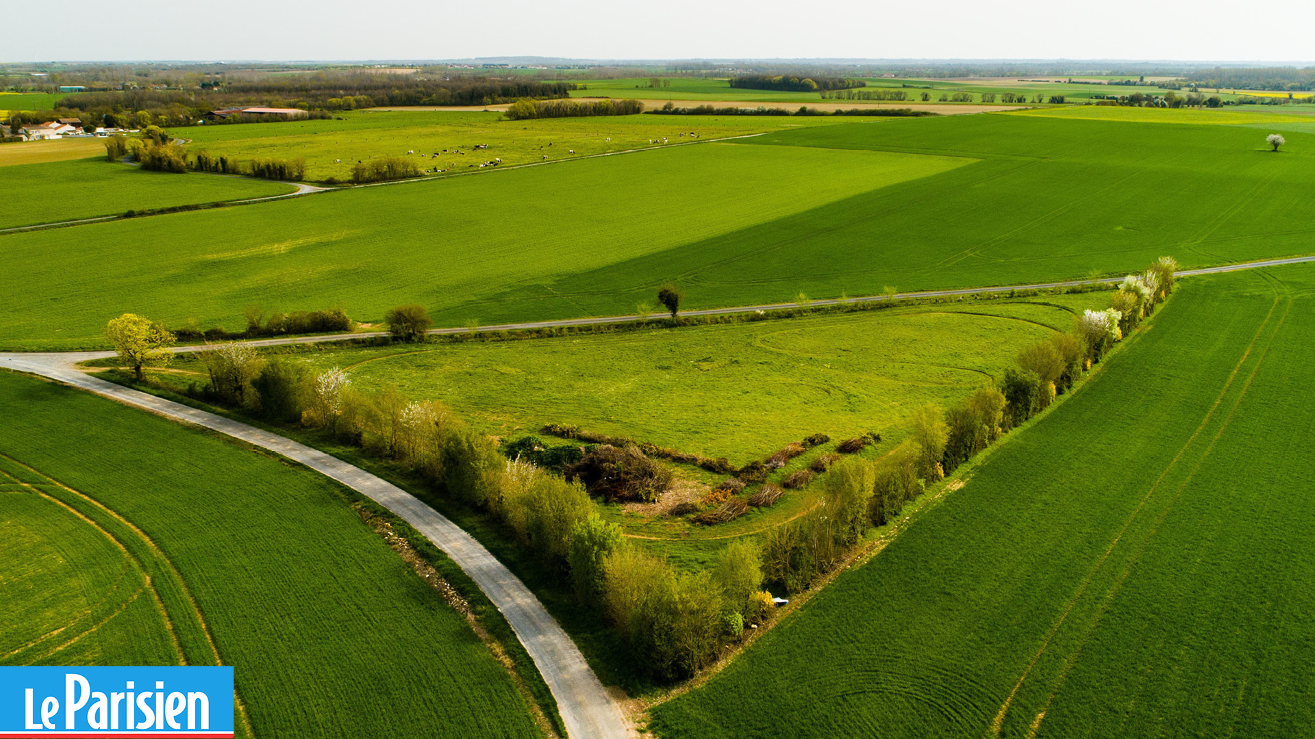 Le «créateur de forêt» Baptiste Trény va planter plus de 800 arbres en Charente-Maritime