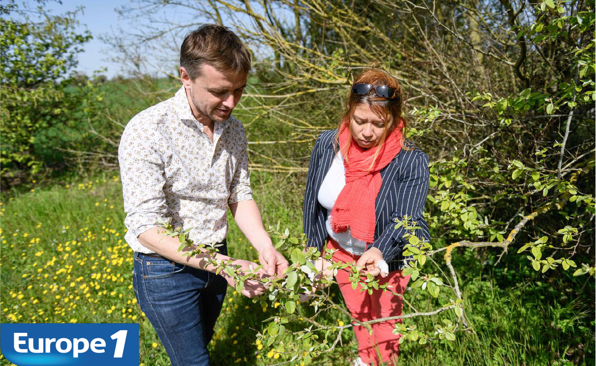 Charente-Maritime : l'engagement responsable d'un créateur de forêts
